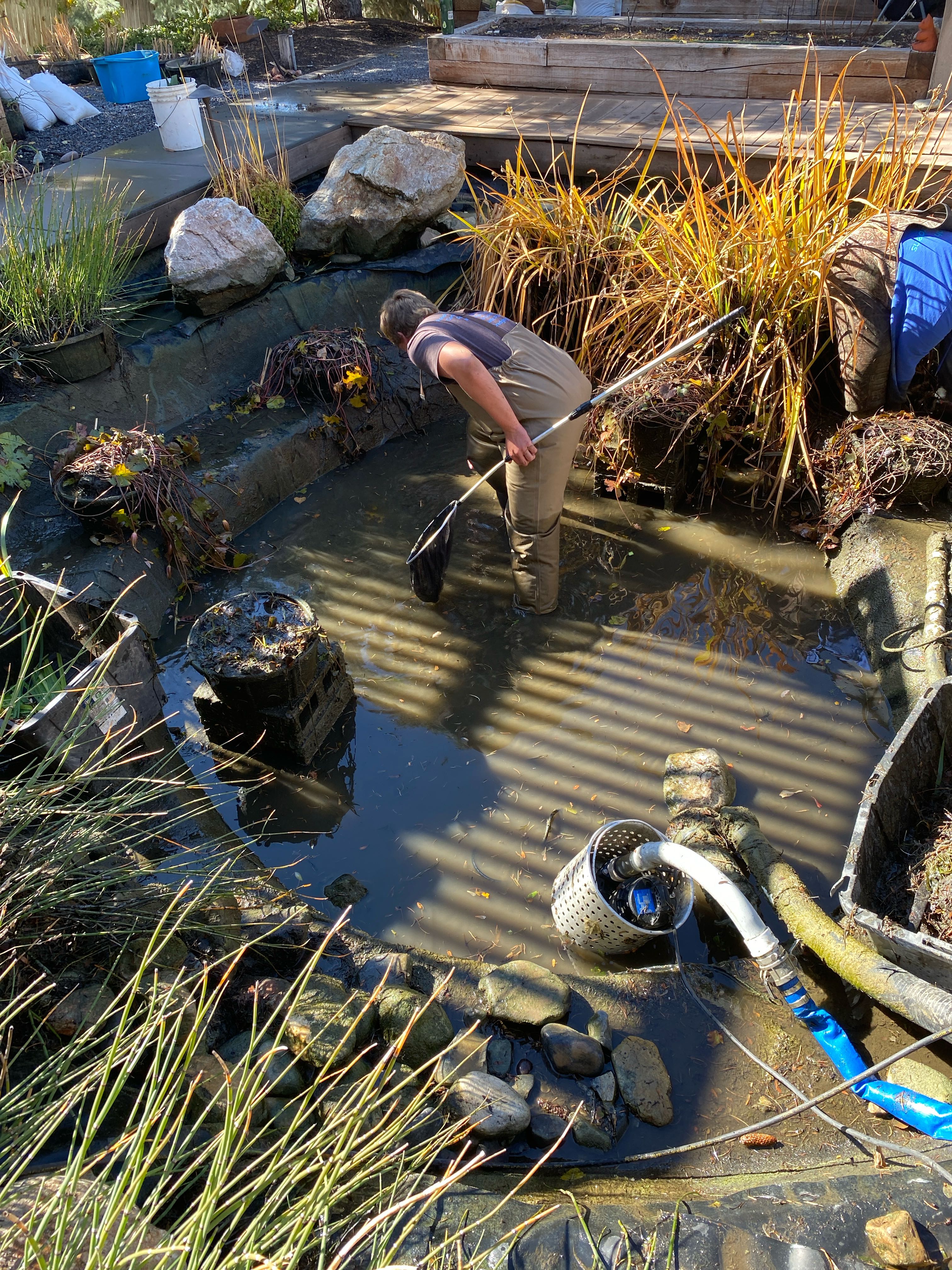 Pond maintenance and cleaning in Utah